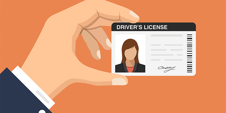 Hand holding driver license icon in flat style