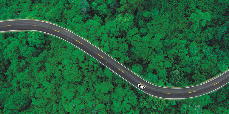 Aerial view of dark green forest road and white car in a natural landscape