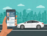Person holding phone showing a mobile driver license